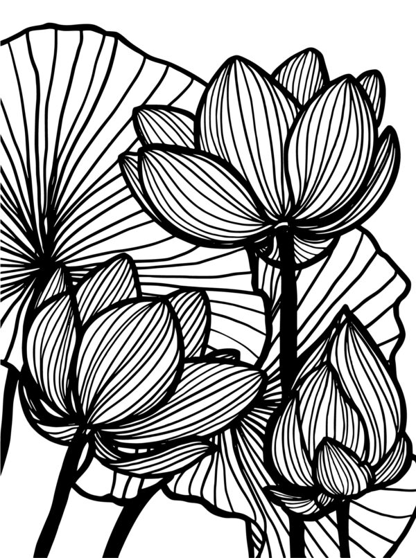 Sketch Journal: Imagine Sketch Take Flight - Image 7