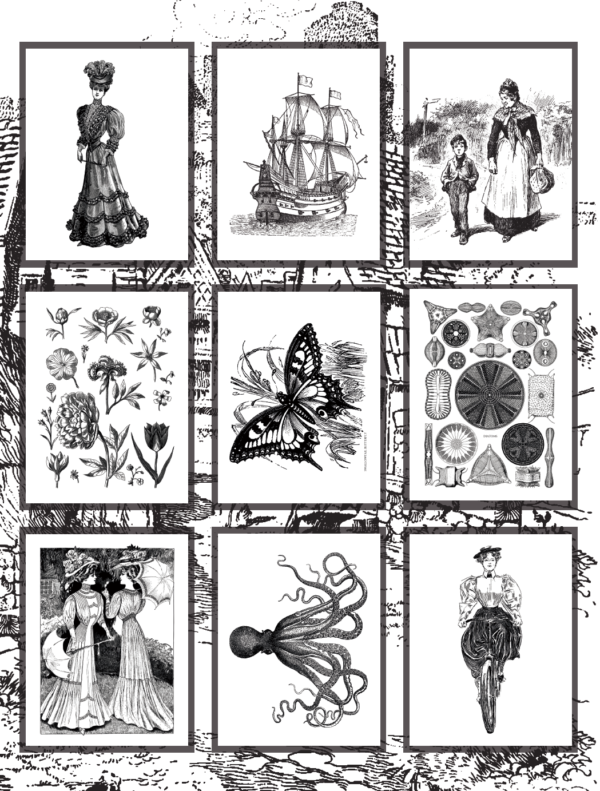 Coloring Through Time Vintage Grayscale Coloring Book: Volume 2 - Image 2